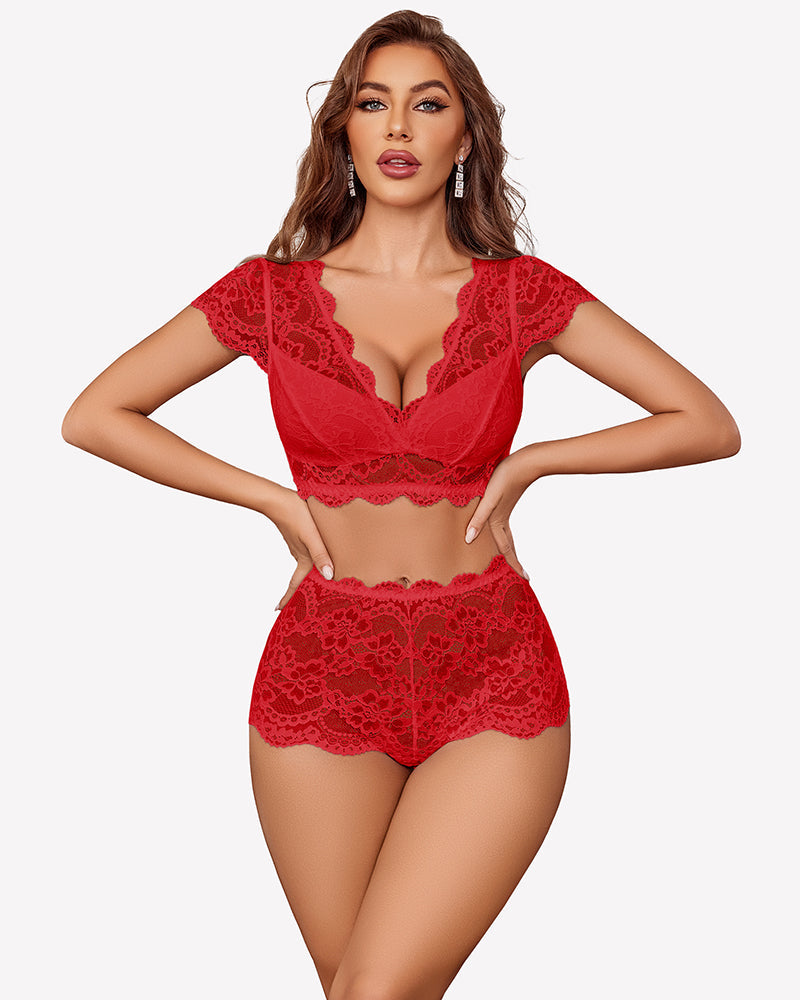 Lace Bra and Panty Sets Push Up Sheer Set
