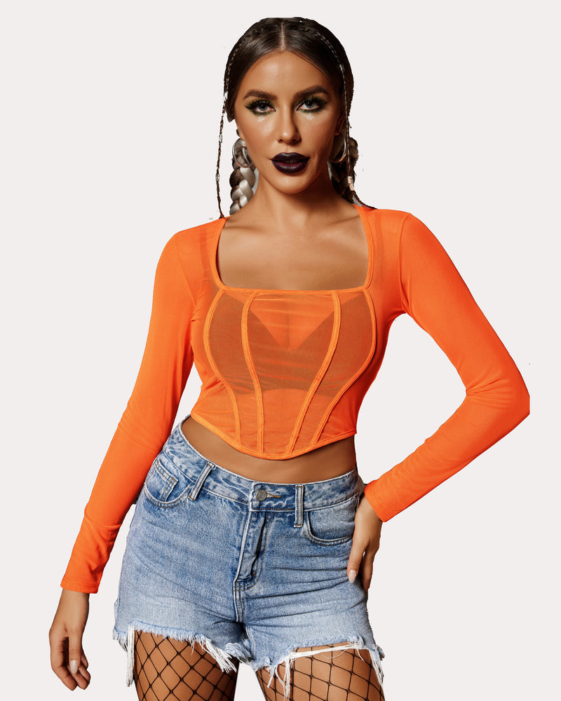 Mesh Crop Tops Sheer Shirt